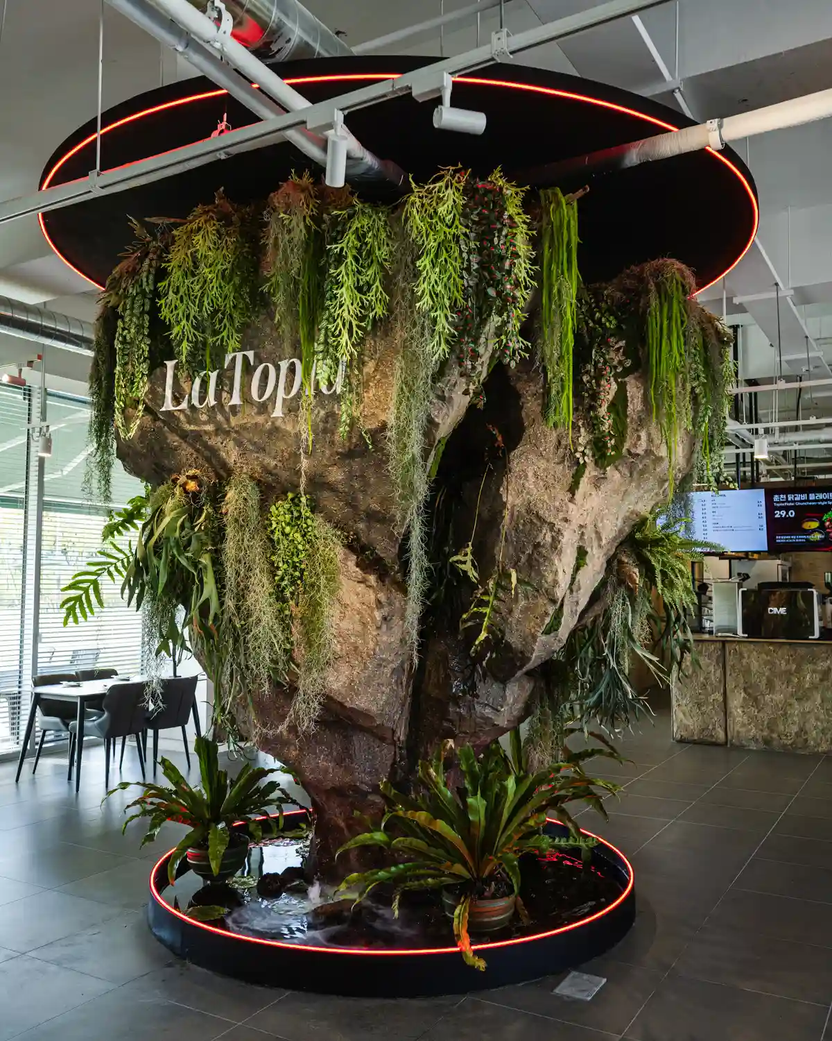 라토피아 - 퓨전 레스토랑