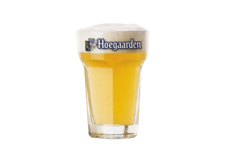 생맥주 호가든